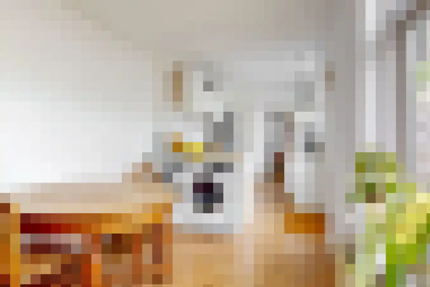 Hamerstraat 57 Bussum thumbnail 15