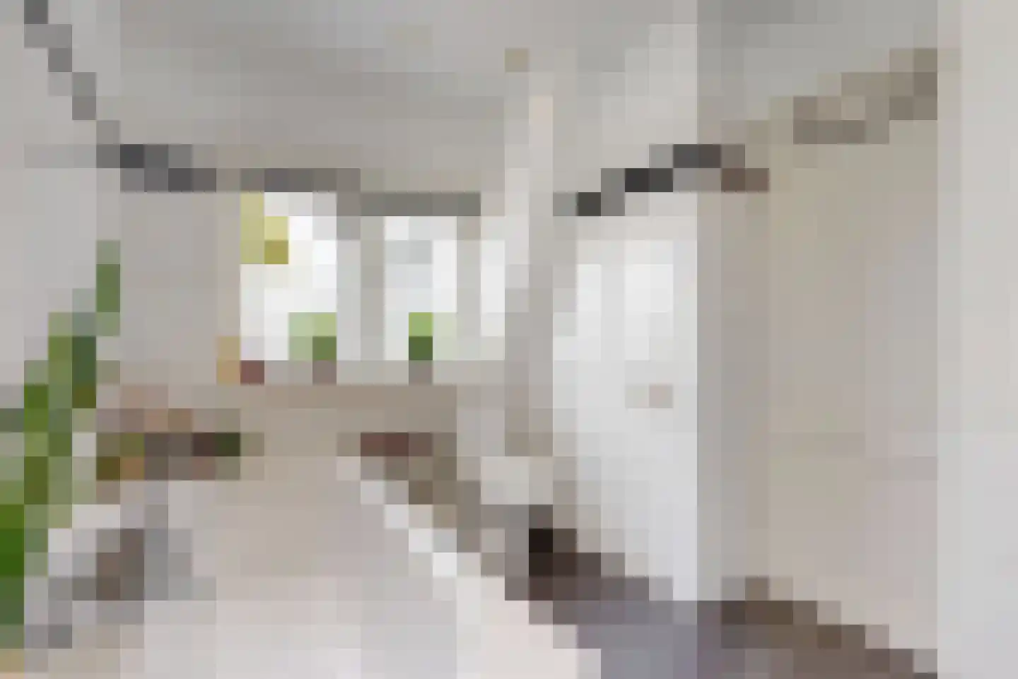 Hamerstraat 57 Bussum thumbnail 20
