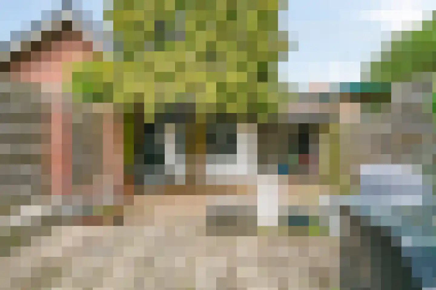 Hamerstraat 57 Bussum thumbnail 37
