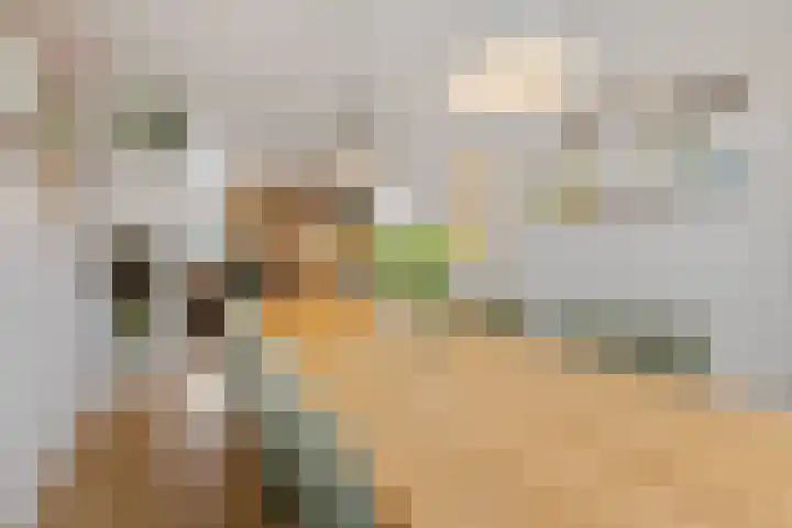 Hamerstraat 62 Bussum thumbnail 10