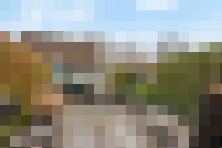 Hamerstraat 62 Bussum thumbnail 37