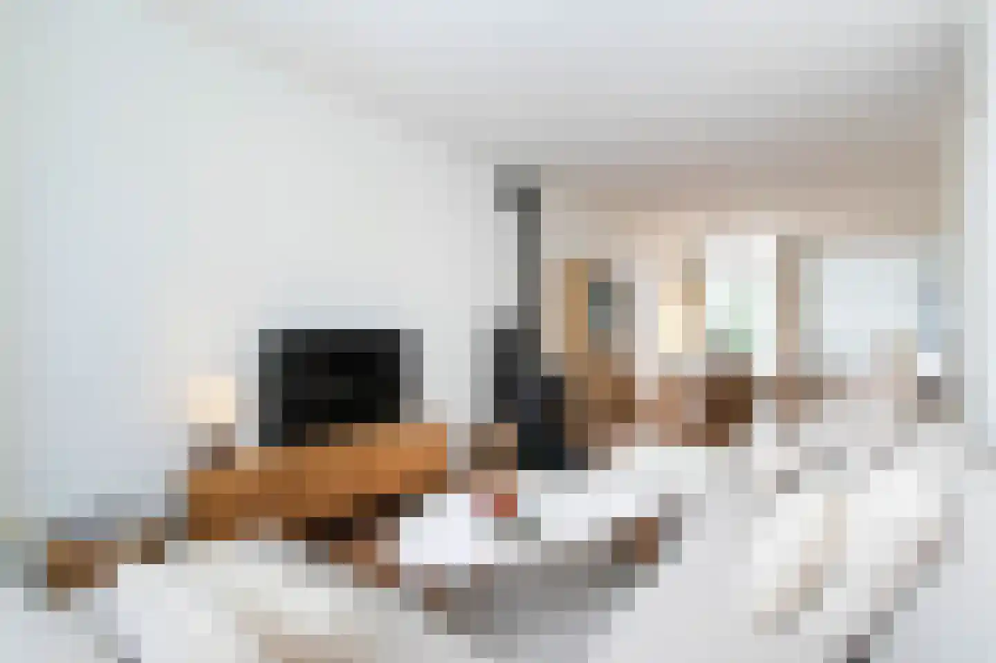 Hamerstraat 74 Bussum thumbnail 6