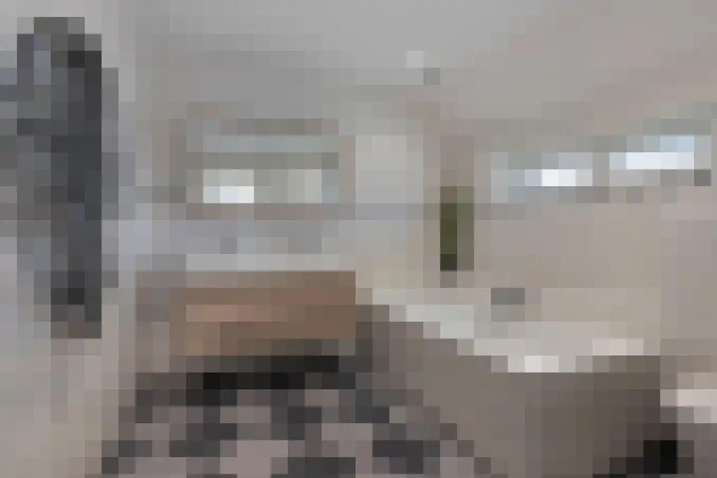 Hamersveldseweg 1 Leusden thumbnail 34
