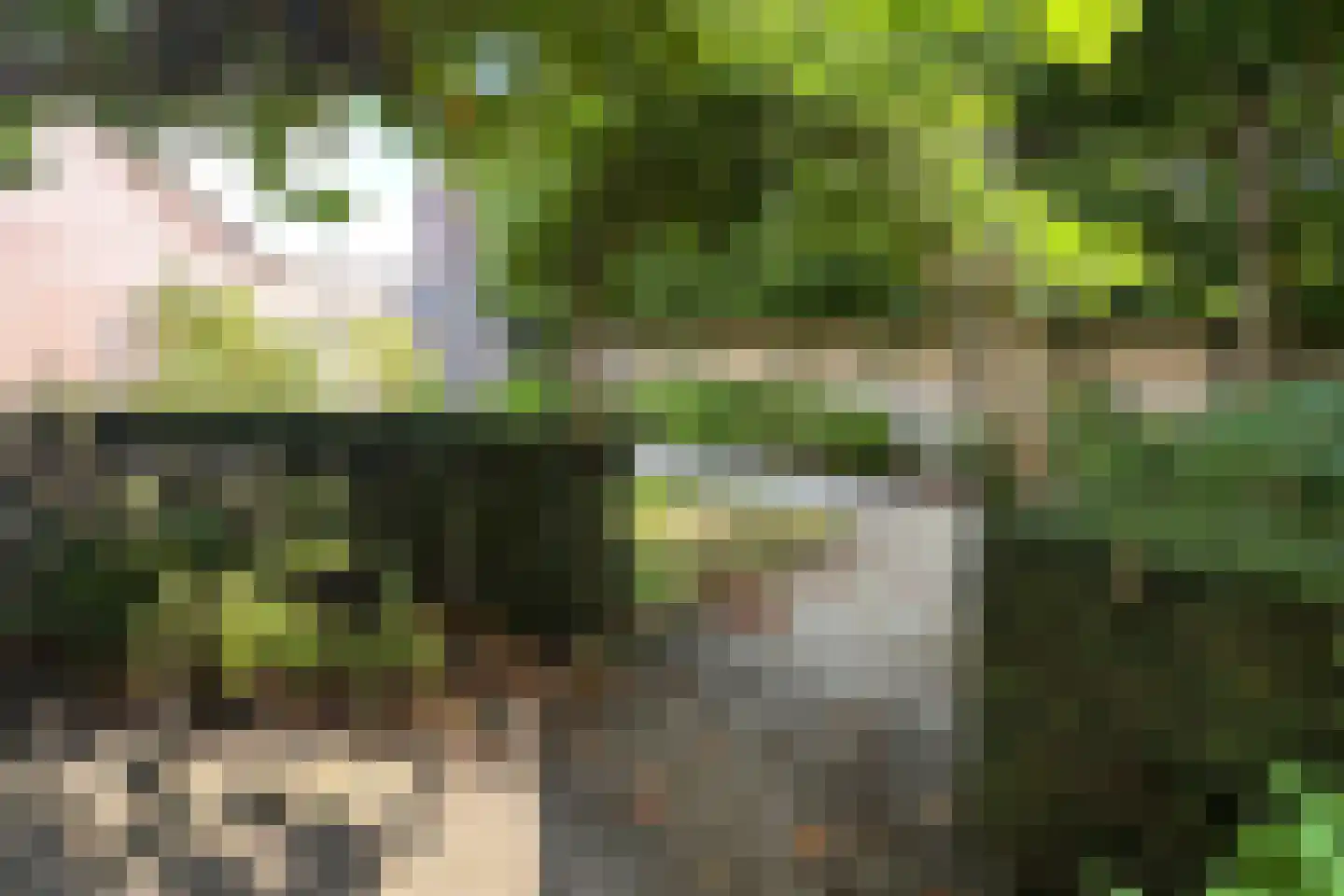 Hamersveldseweg 1 Leusden thumbnail 52