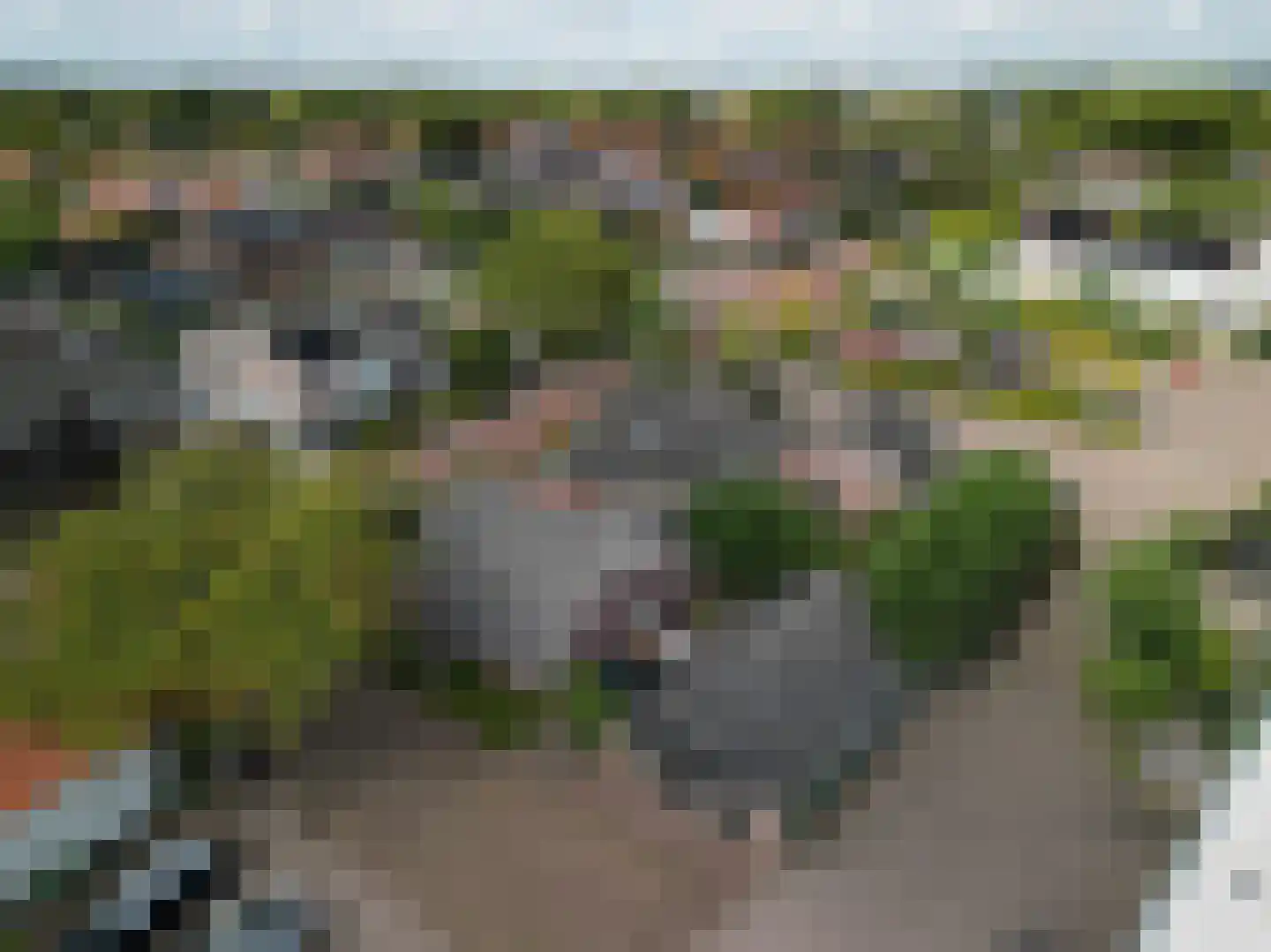 Hamersveldseweg 1 Leusden thumbnail 57