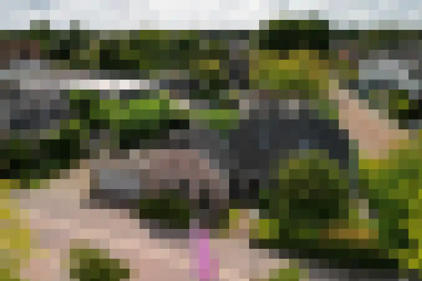 Hamersveldseweg 1 Leusden thumbnail 58
