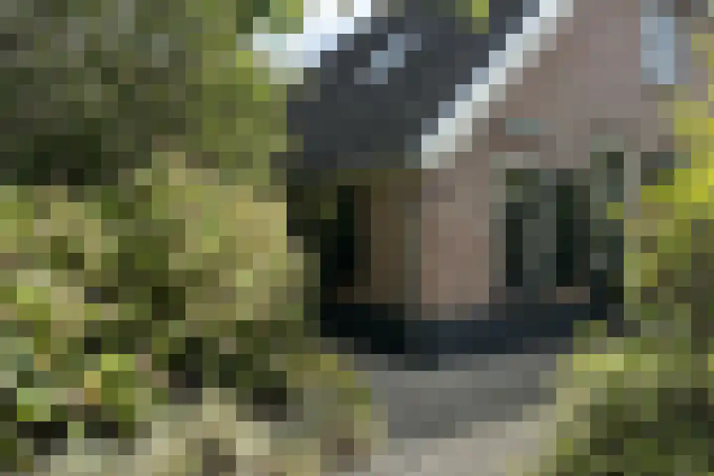 Hamersveldseweg 1 Leusden thumbnail 6