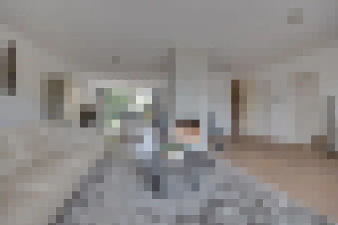 Hamersveldseweg 20 Leusden thumbnail 11