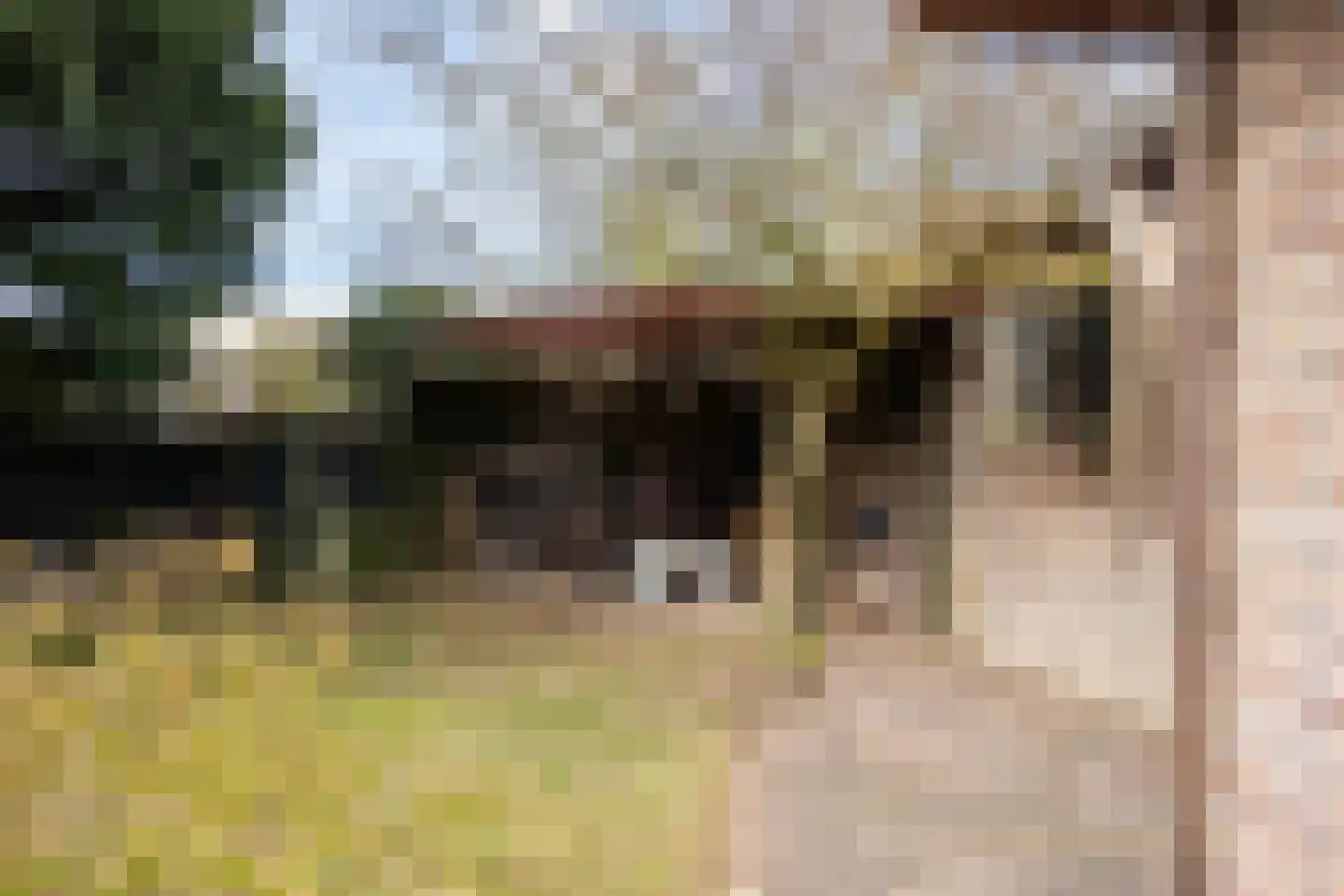 Hamersveldseweg 20 Leusden thumbnail 32