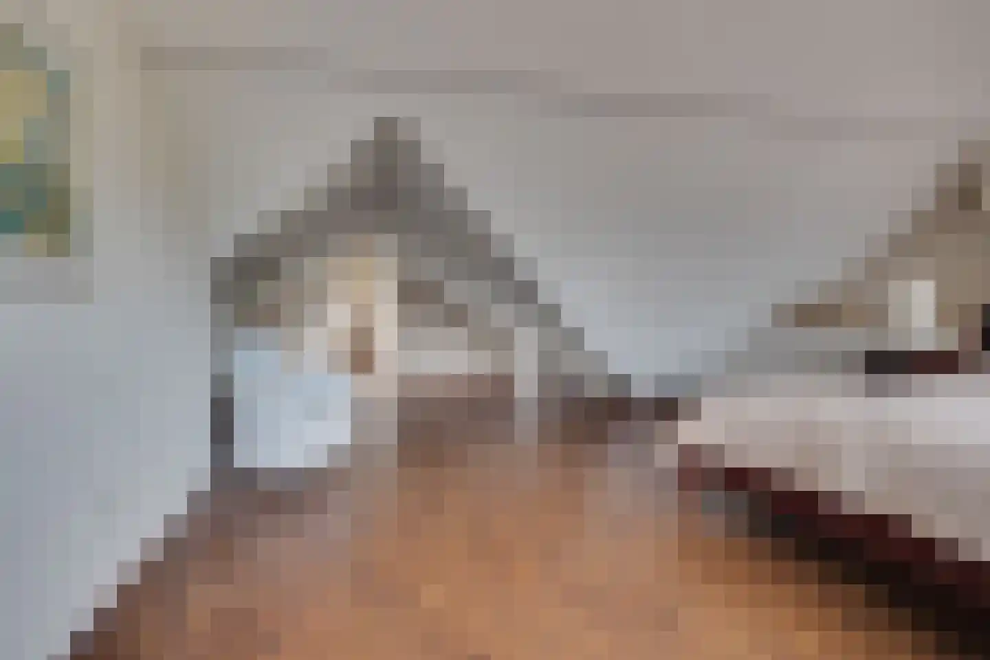 Hamersveldseweg 20 Leusden thumbnail 36