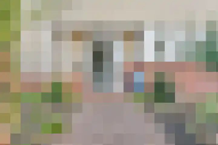 Hamersveldseweg 32 Leusden thumbnail 15