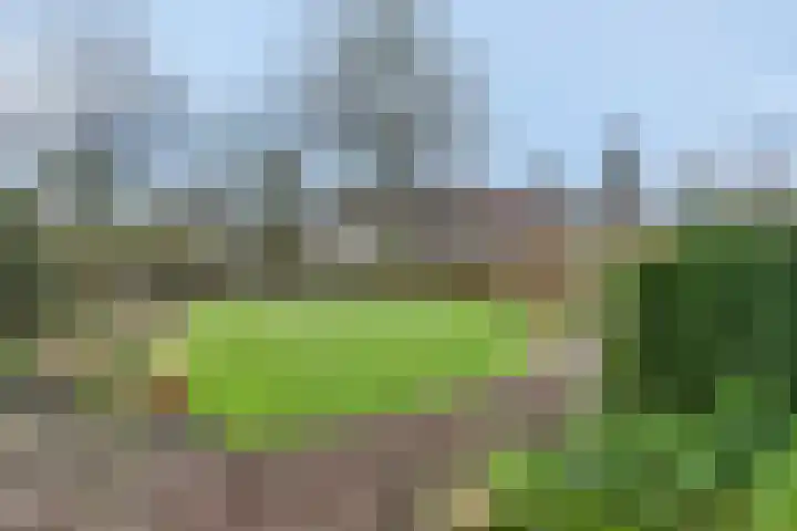 Hamersveldseweg 32 Leusden thumbnail 16