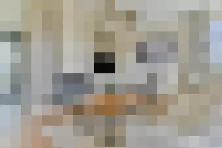 Hamersveldseweg 32 Leusden thumbnail 23