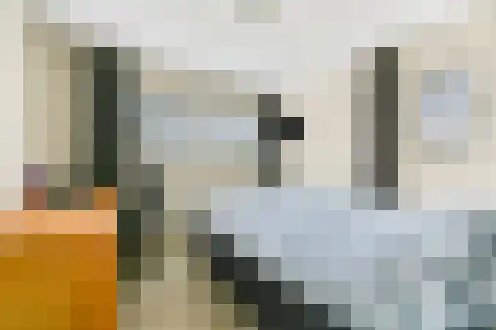 Hamersveldseweg 32 Leusden thumbnail 32