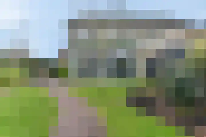 Hamersveldseweg 32 Leusden thumbnail 53
