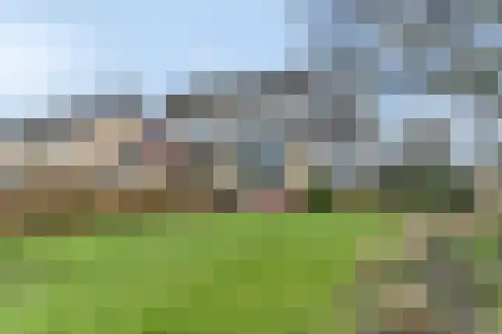 Hamersveldseweg 32 Leusden thumbnail 6