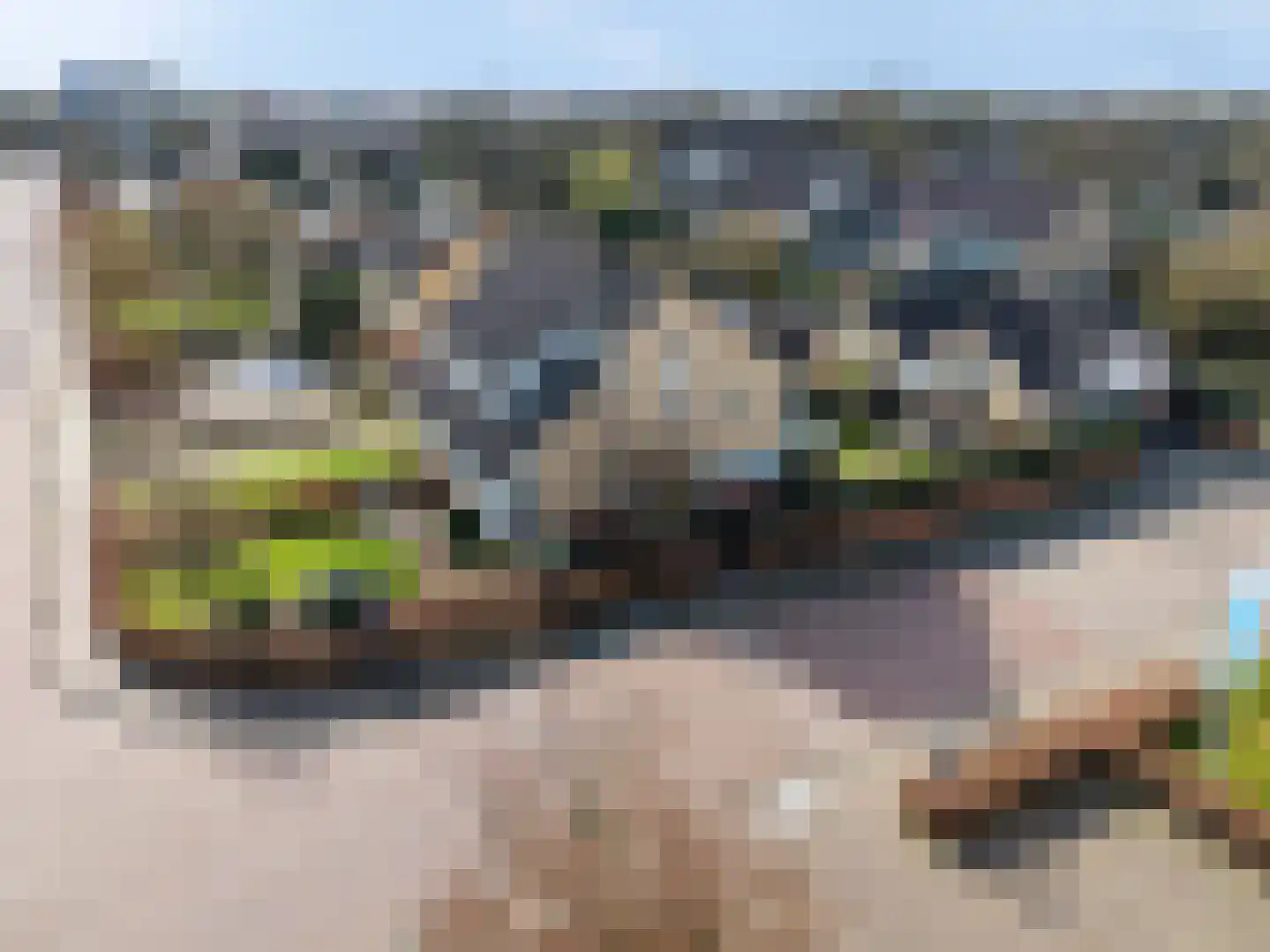 Hamersveldseweg 32 Leusden thumbnail 60