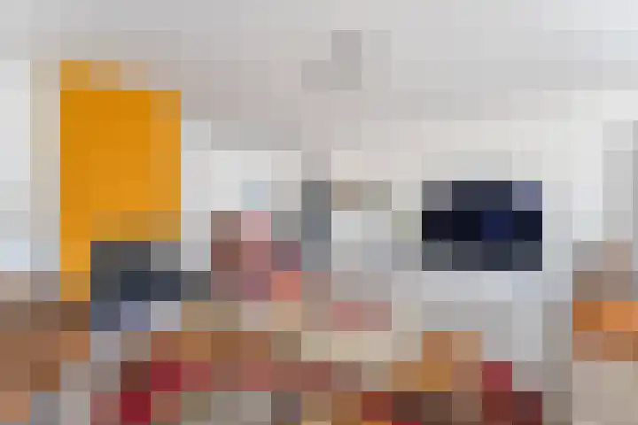 Hamersveldseweg 4 b Leusden thumbnail 14