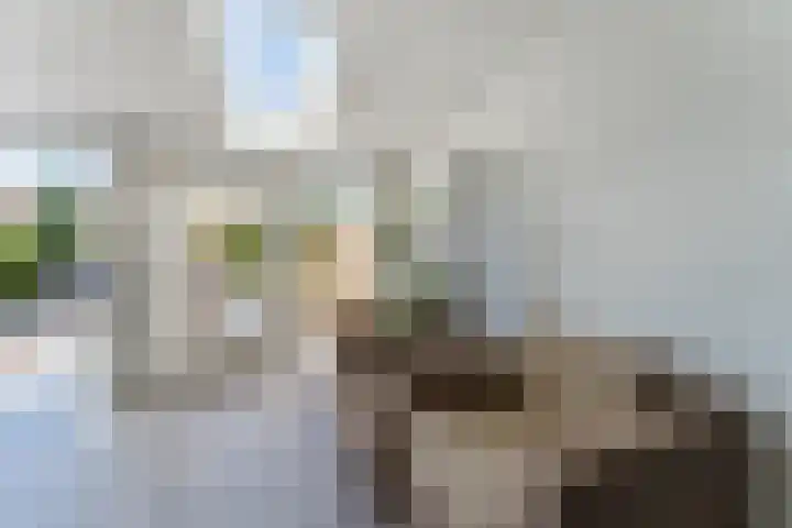 Hamersveldseweg 4 b Leusden thumbnail 18