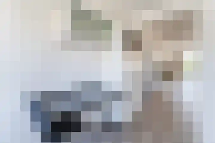 Hamersveldseweg 4 b Leusden thumbnail 28