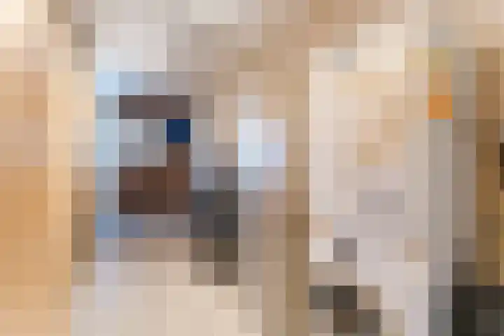 Hamersveldseweg 4 b Leusden thumbnail 30