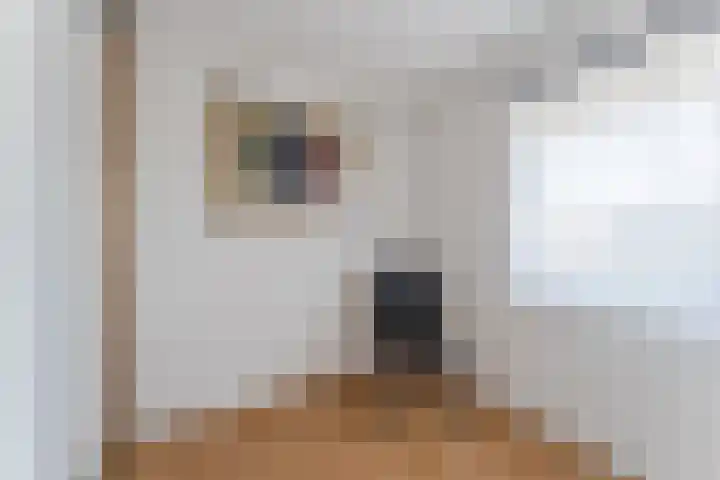 Hamersveldseweg 4 b Leusden thumbnail 38
