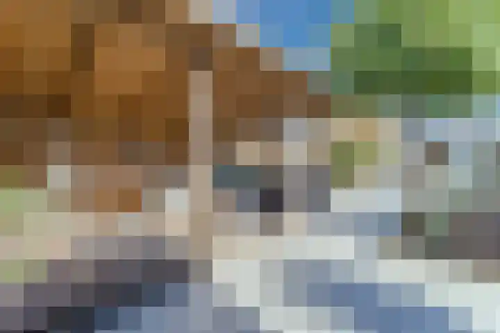 Hamersveldseweg 4 b Leusden thumbnail 64