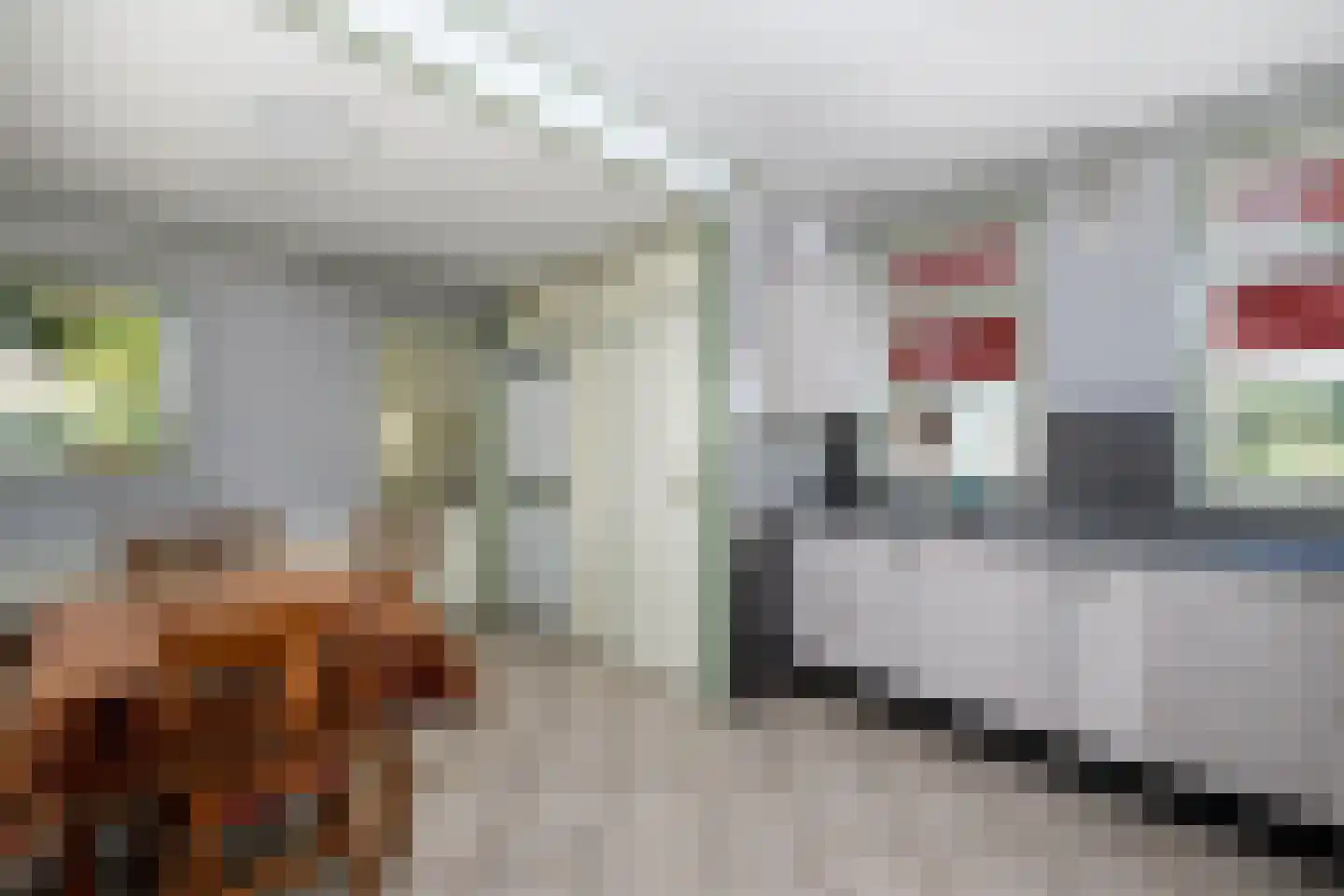 Hamersweg 14 Oldeholtpade thumbnail 10