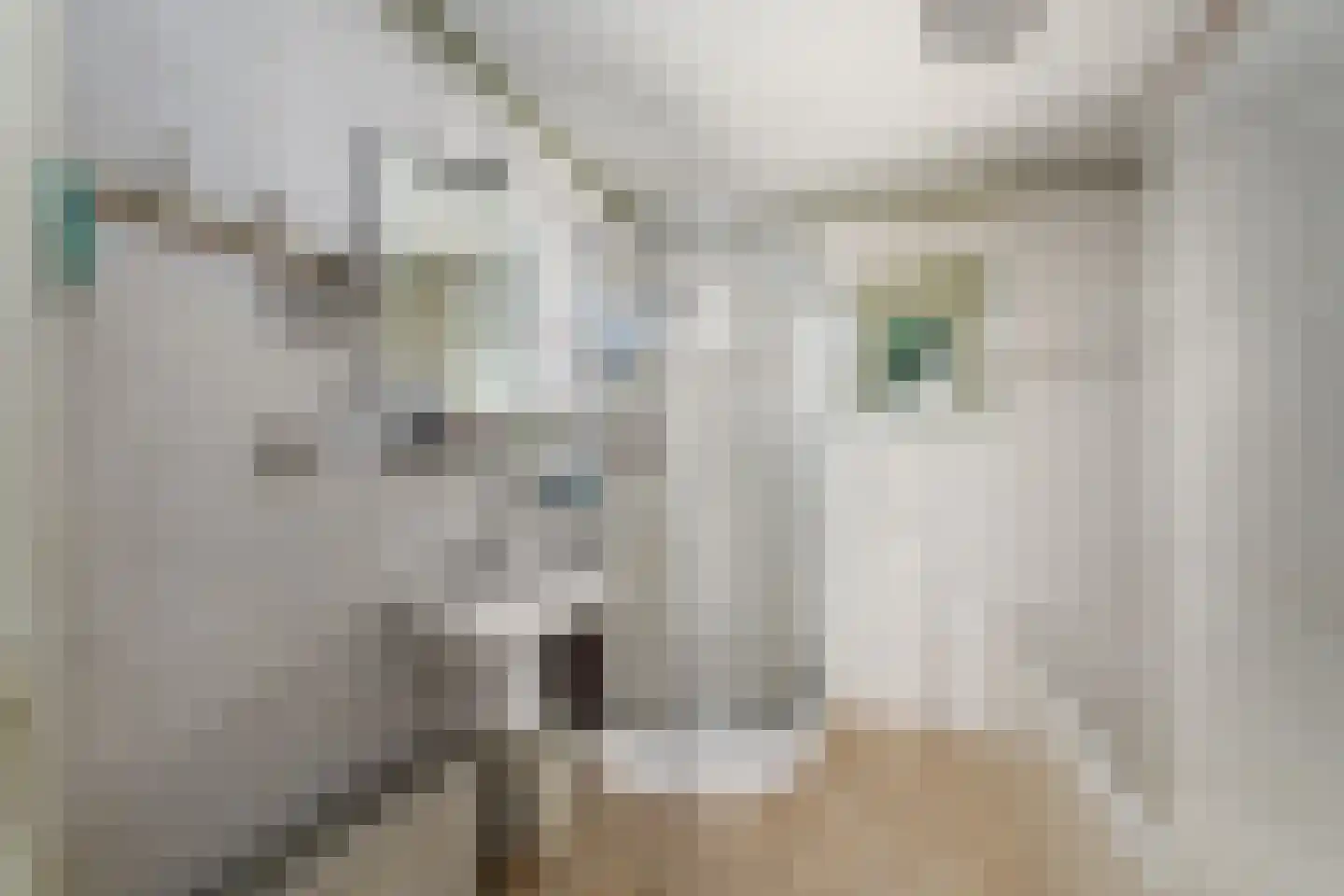 Hamersweg 14 Oldeholtpade thumbnail 18