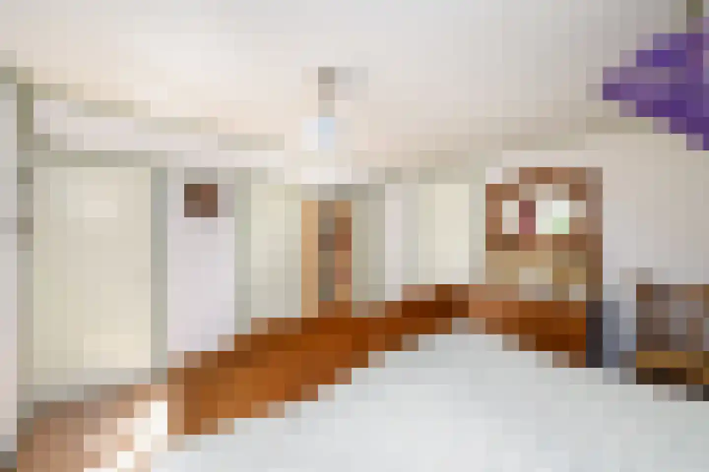Hamersweg 14 Oldeholtpade thumbnail 22