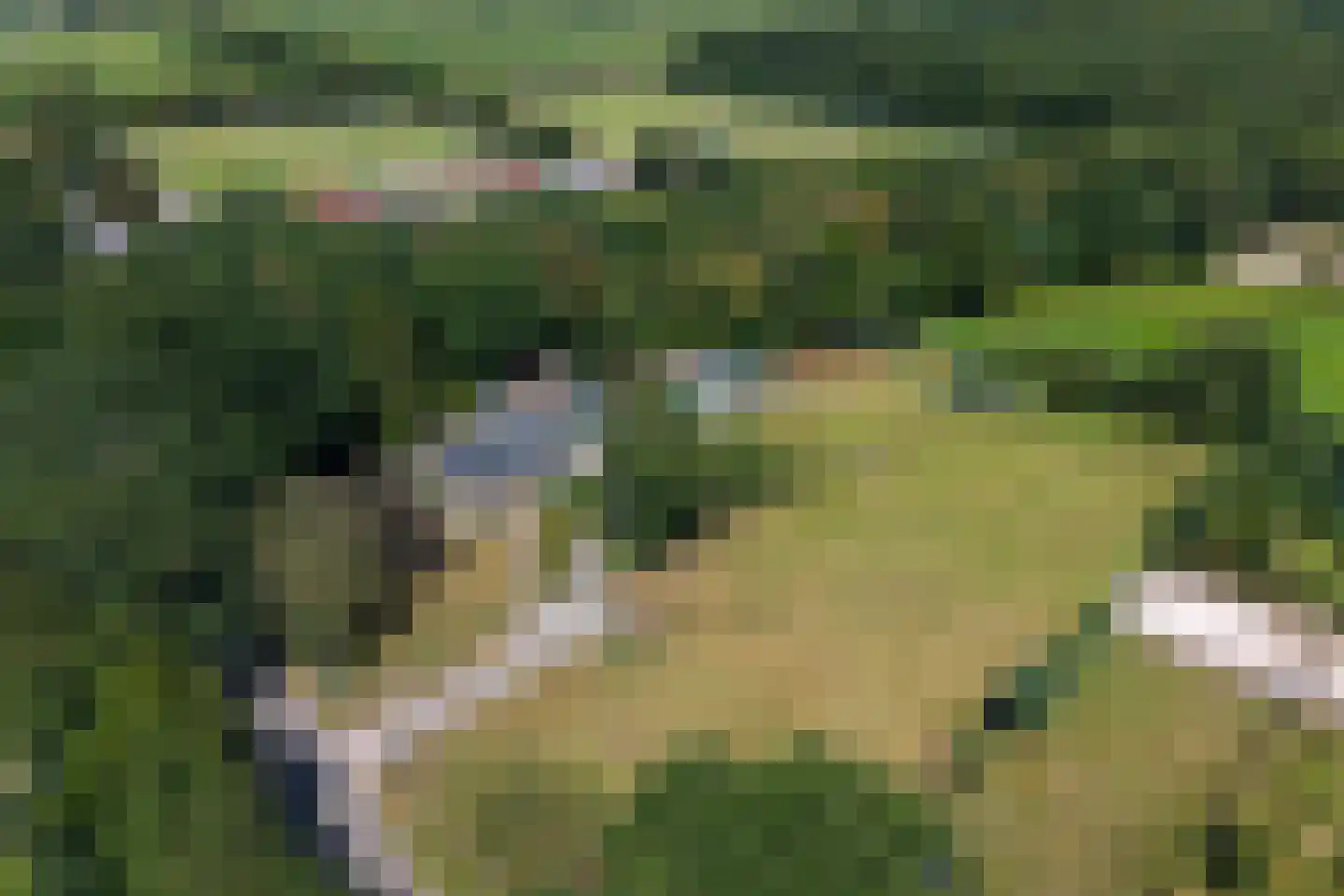 Hamersweg 14 Oldeholtpade thumbnail 27