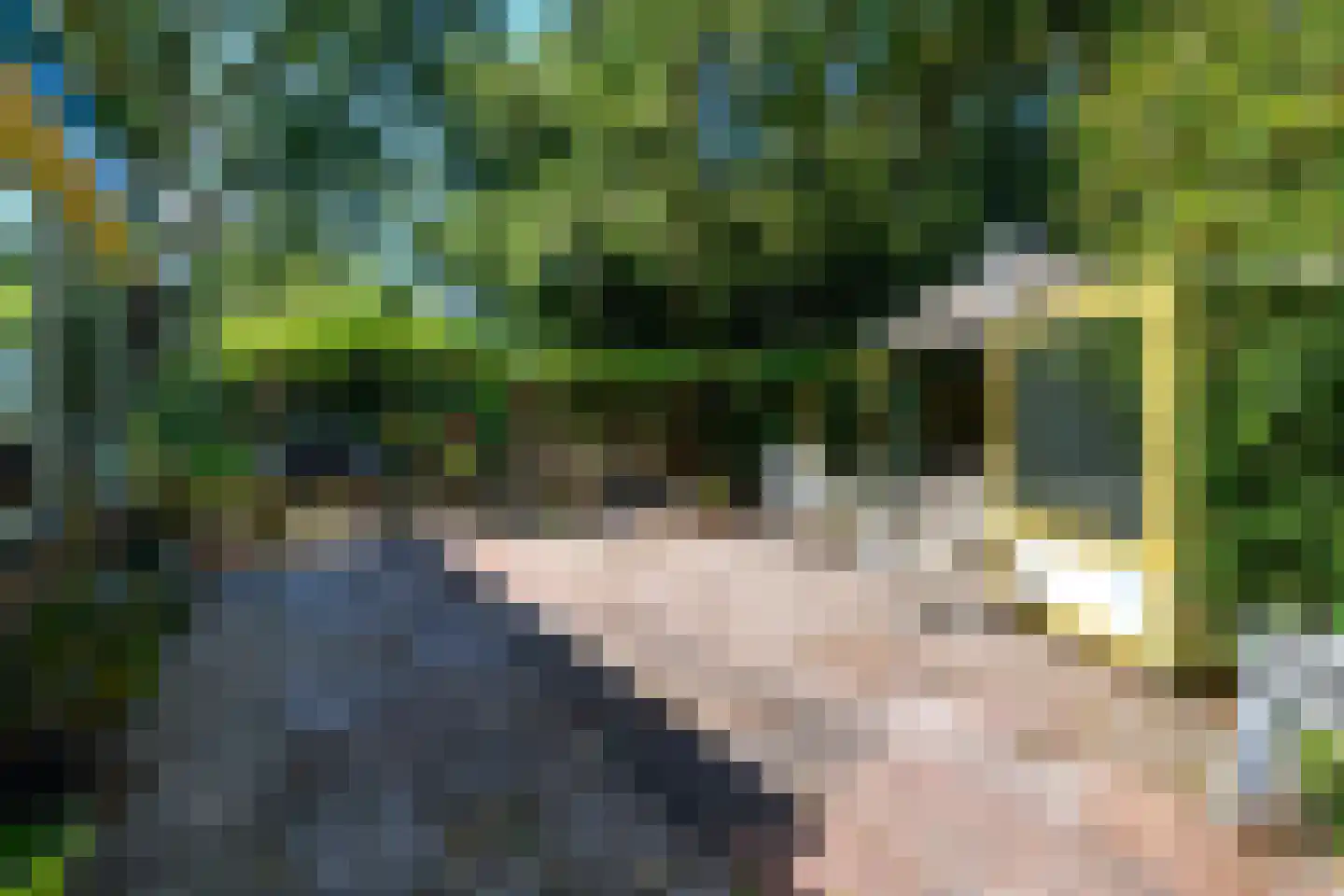 Hamersweg 14 Oldeholtpade thumbnail 30