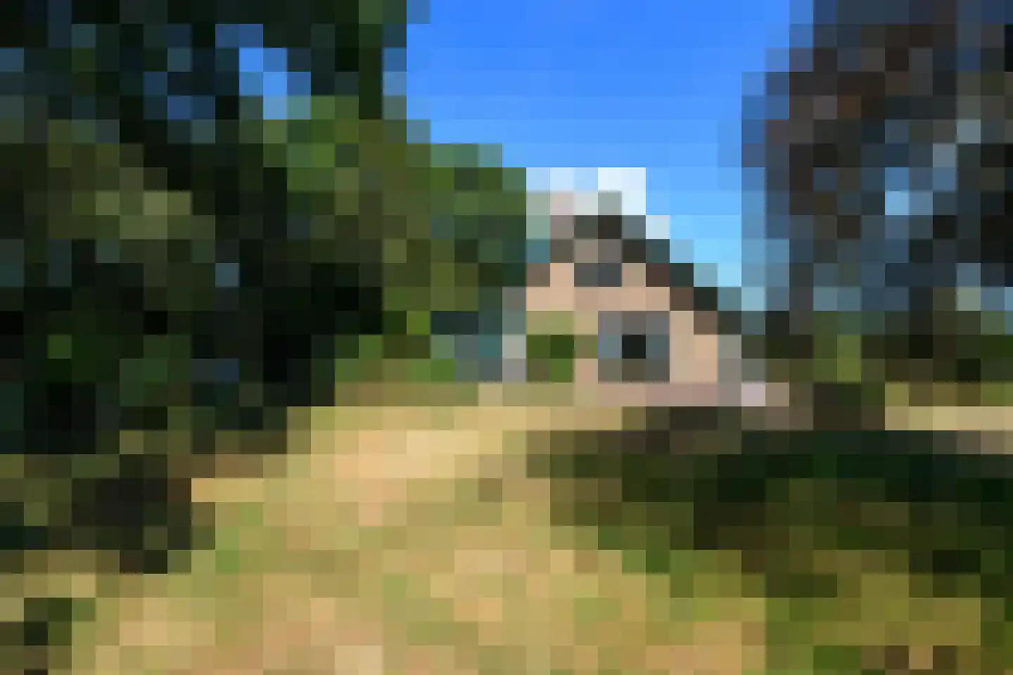 Hamersweg 14 Oldeholtpade thumbnail 34
