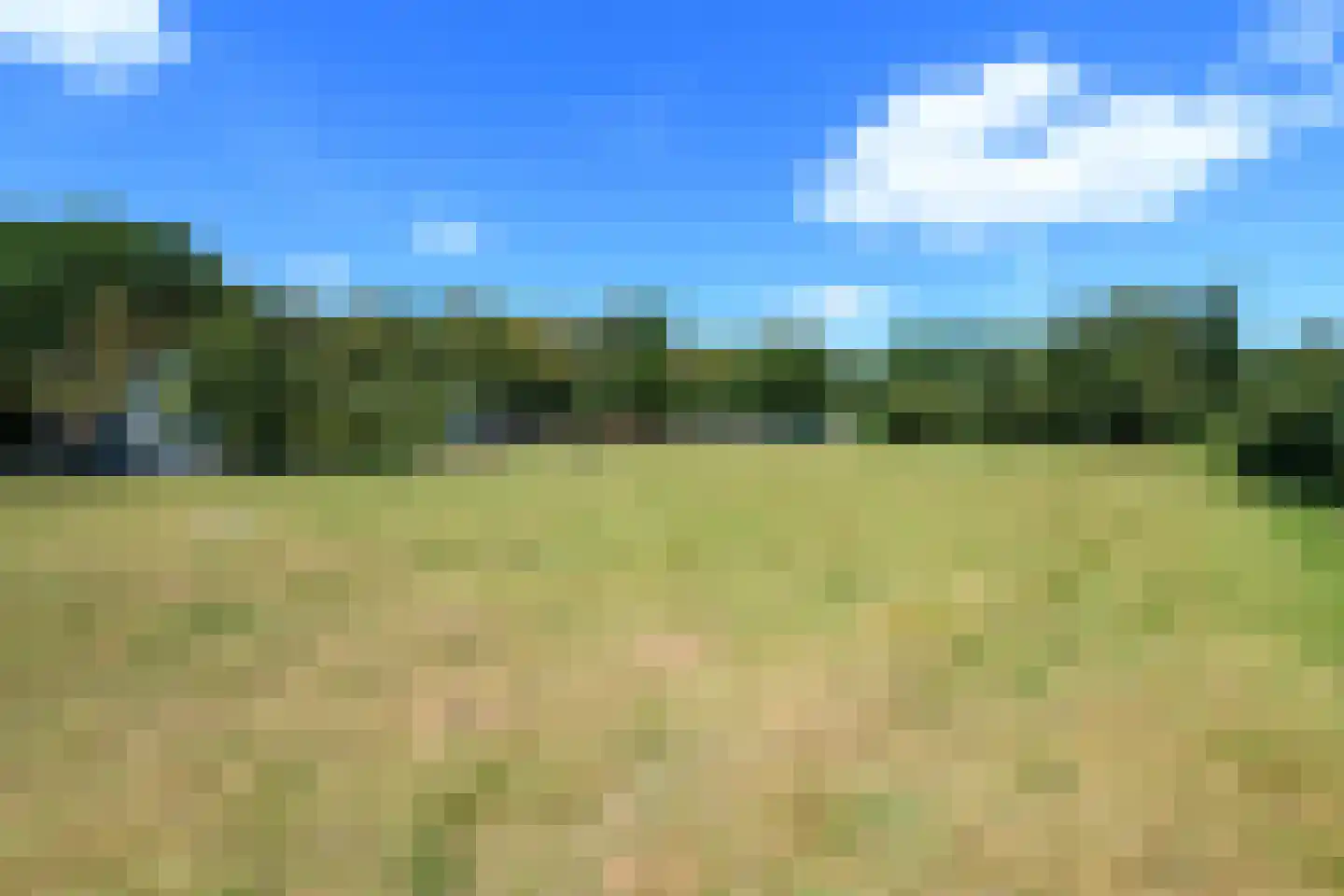 Hamersweg 14 Oldeholtpade thumbnail 36