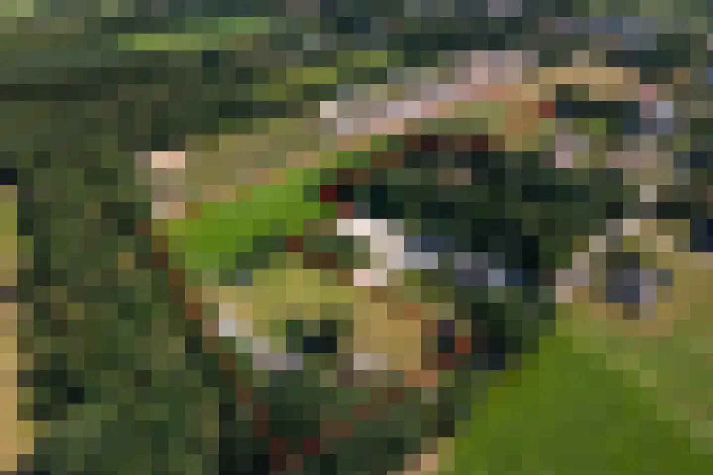 Hamersweg 14 Oldeholtpade thumbnail 4