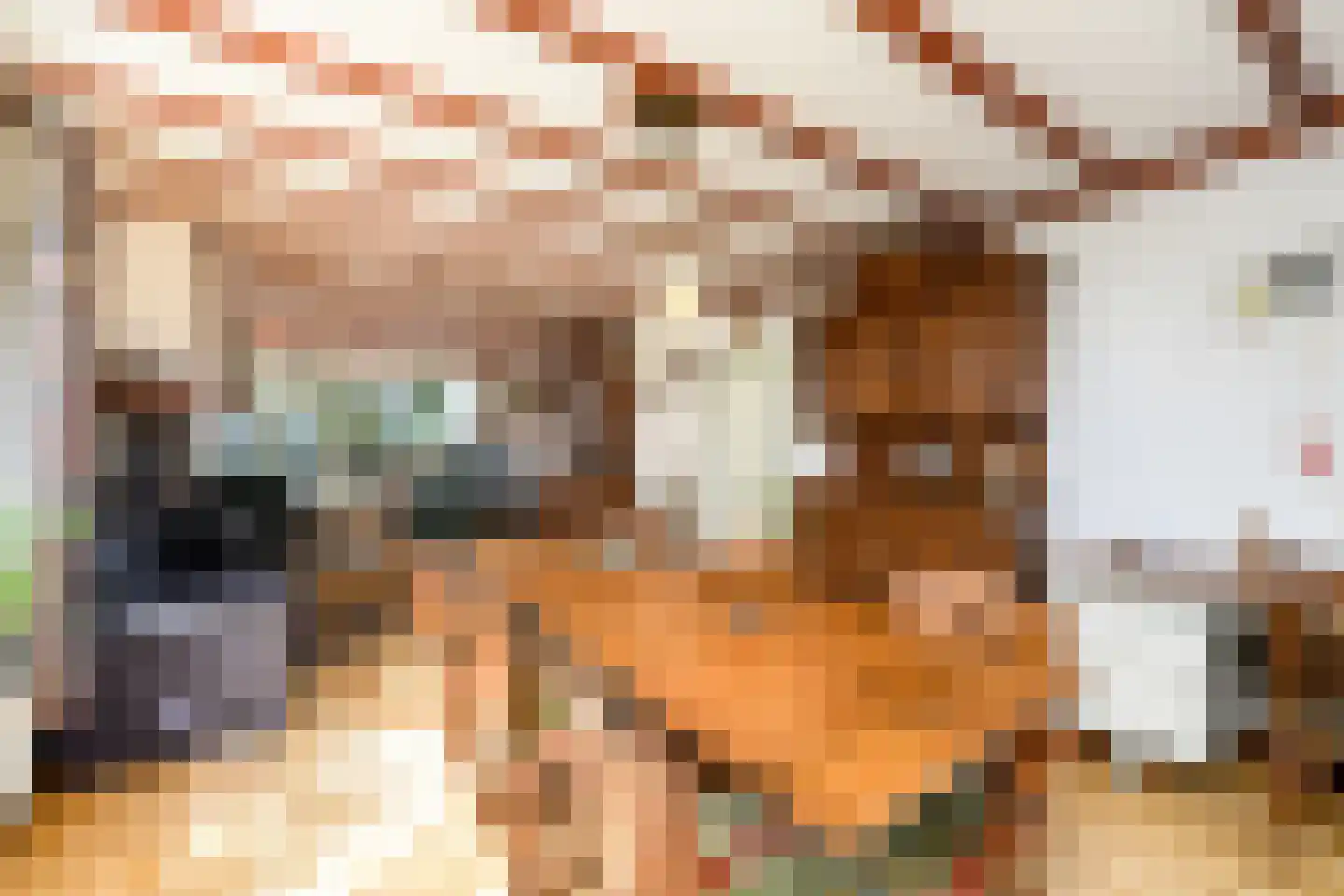 Hamersweg 14 Oldeholtpade thumbnail 7