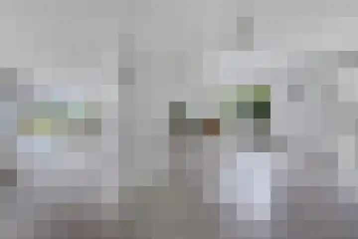 Hamersweg 20 B Ter Idzard thumbnail 11
