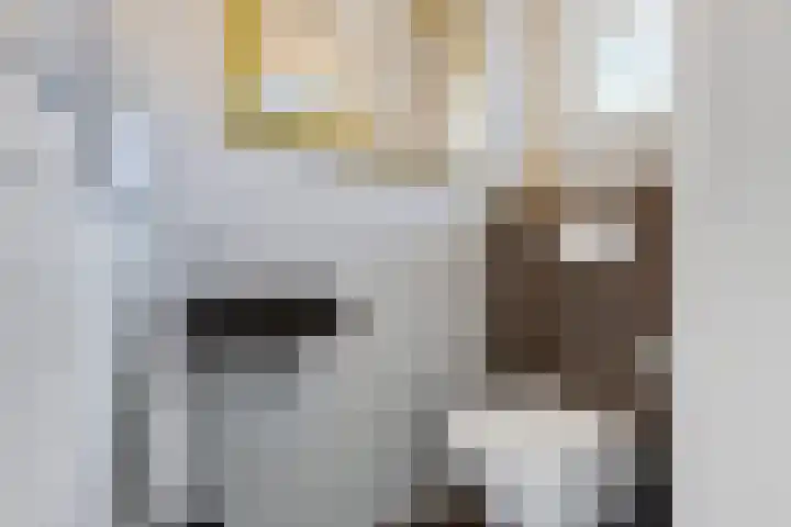 Hamersweg 20 B Ter Idzard thumbnail 14