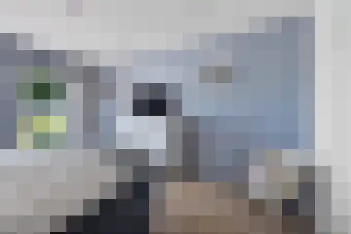 Hamersweg 20 B Ter Idzard thumbnail 16