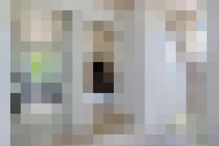 Hamersweg 20 B Ter Idzard thumbnail 19