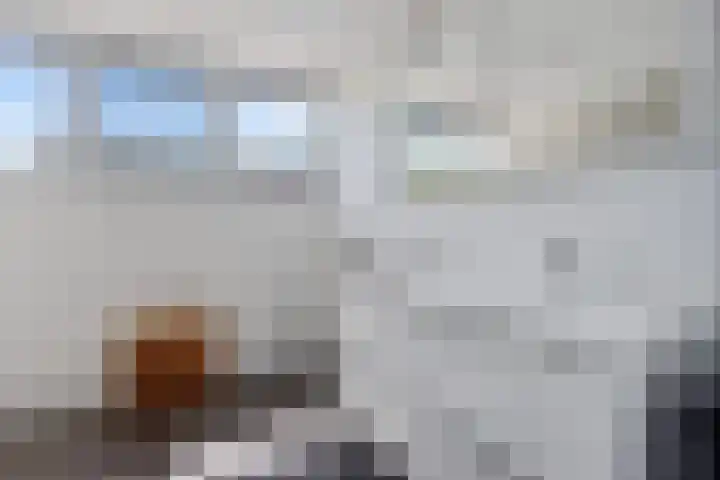 Hamersweg 20 B Ter Idzard thumbnail 22
