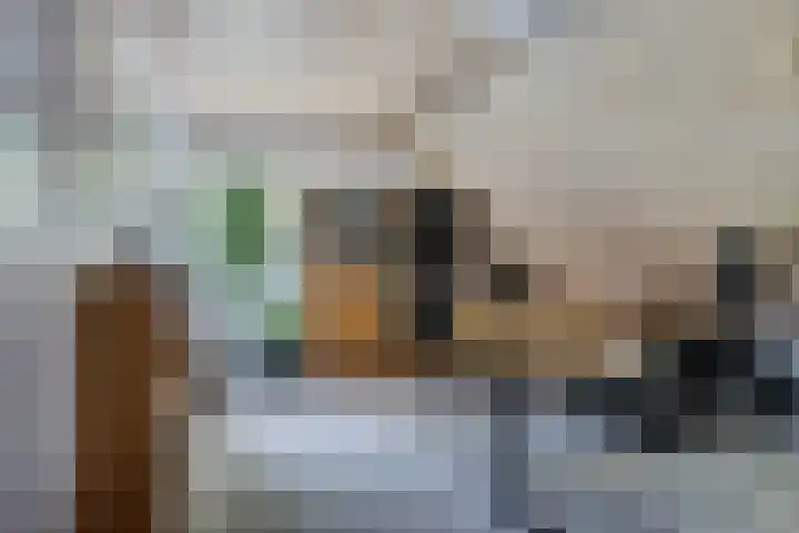 Hamersweg 20 B Ter Idzard thumbnail 24