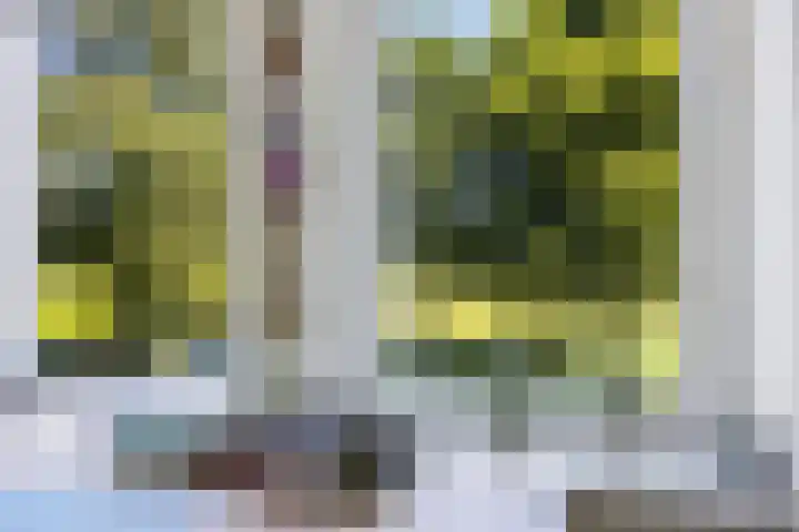 Hamersweg 20 B Ter Idzard thumbnail 28