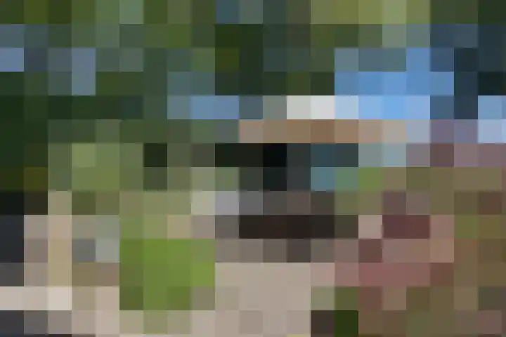 Hamersweg 20 B Ter Idzard thumbnail 31