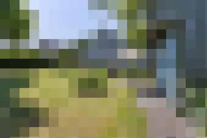 Hamersweg 20 B Ter Idzard thumbnail 32