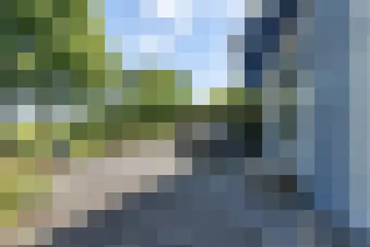 Hamersweg 20 B Ter Idzard thumbnail 33