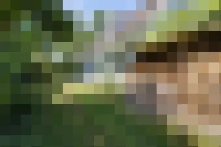 Hamersweg 20 B Ter Idzard thumbnail 34