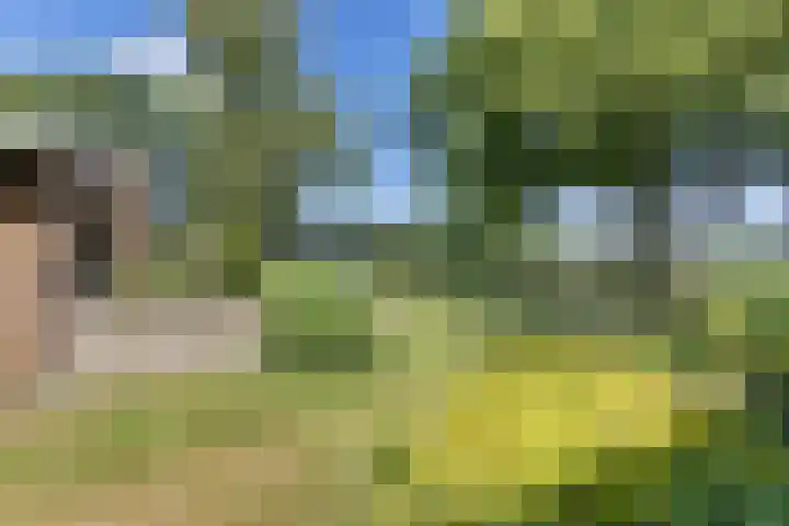 Hamersweg 20 B Ter Idzard thumbnail 36