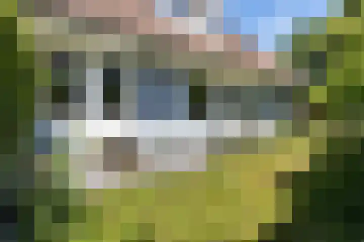 Hamersweg 20 B Ter Idzard thumbnail 38