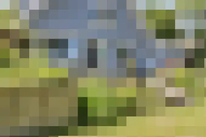 Hamersweg 20 B Ter Idzard thumbnail 39